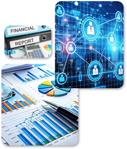 Financial Reporting